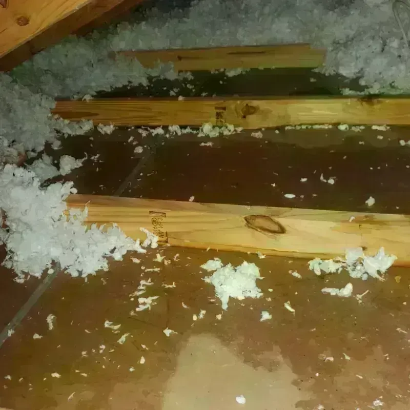 Attic Water Damage in Gaffney, SC